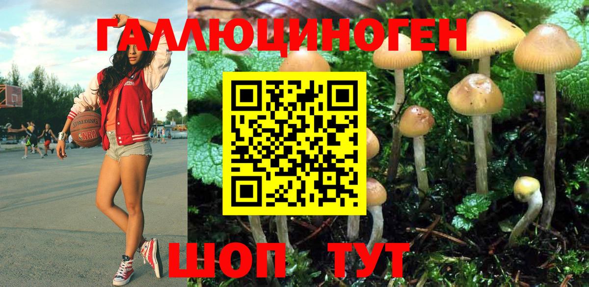 купить  сайты  Вход с VPN  Рузаевка  Псилоцибиновые грибы Psilocybine cubensis  Галлюциногенные грибы Cubensis 