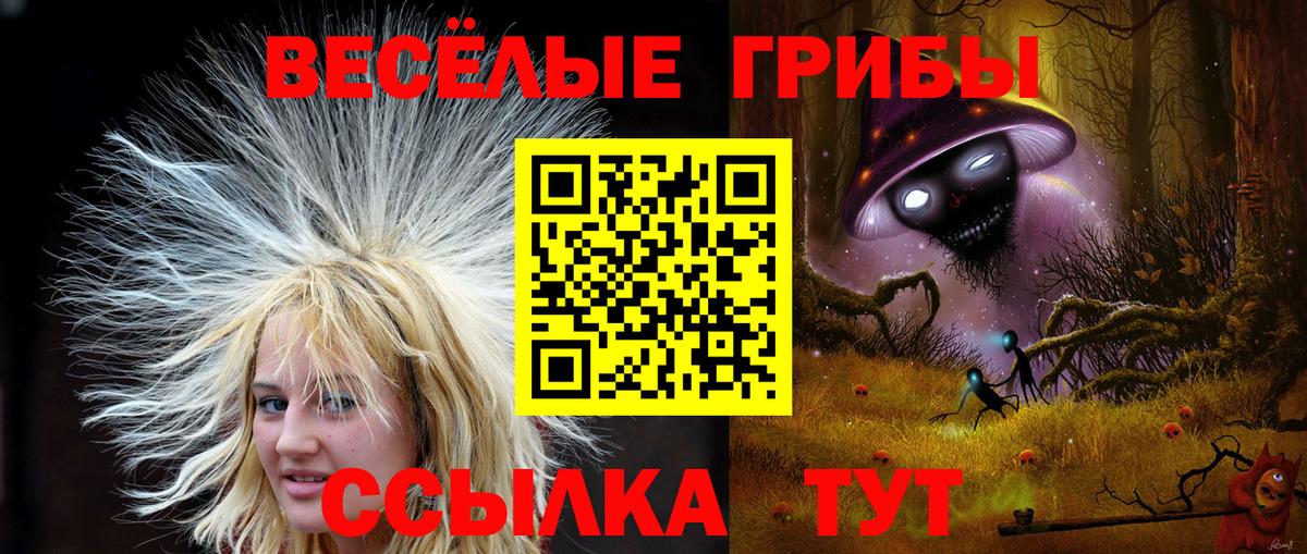 Псилоцибиновые грибы Magic Shrooms Рузаевка